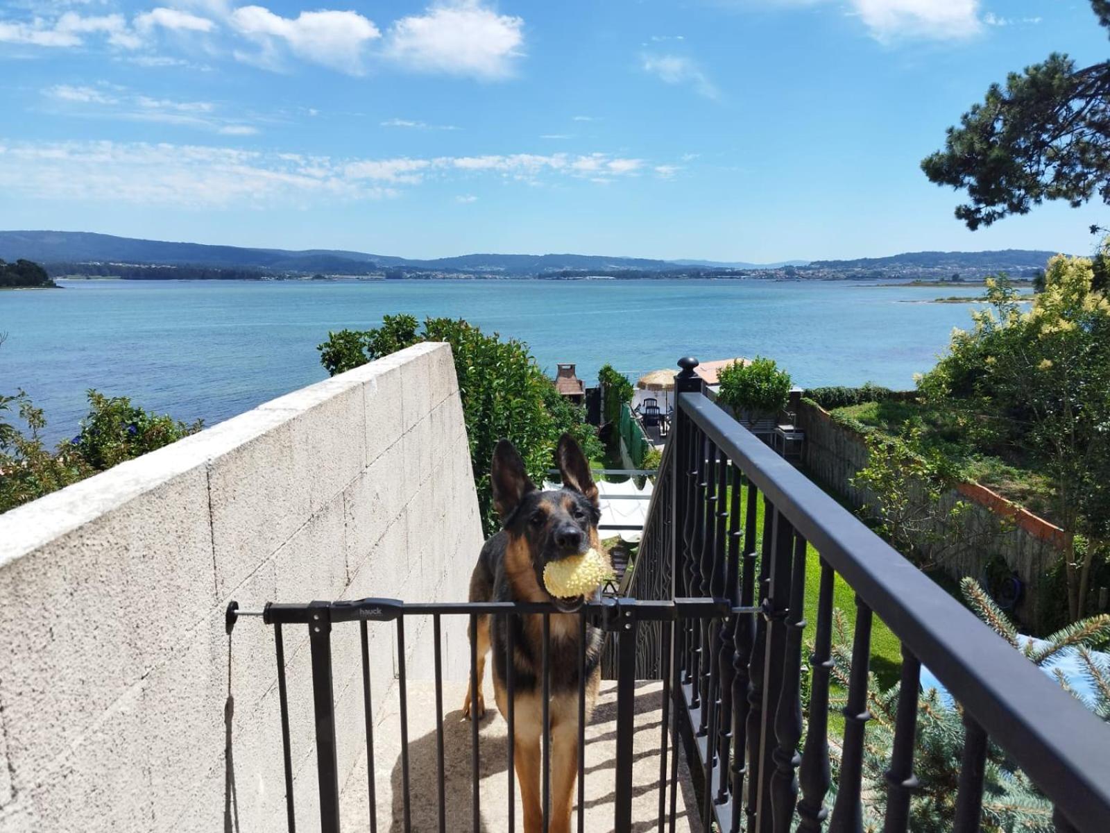 Apartamento Vistas Al Mar E Isla De La Toja O Grove Exterior foto